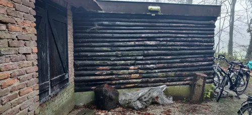 dorien firet hout opv schoonoord