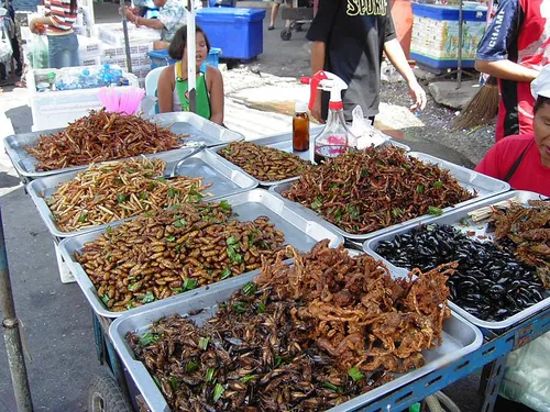 insecten bangkok thailand takoradee wikimedia