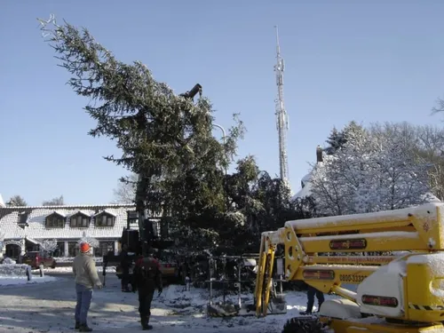kerstboom wolfheze 2012