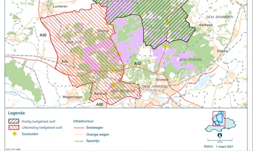 leefgebied wolf bron bij12