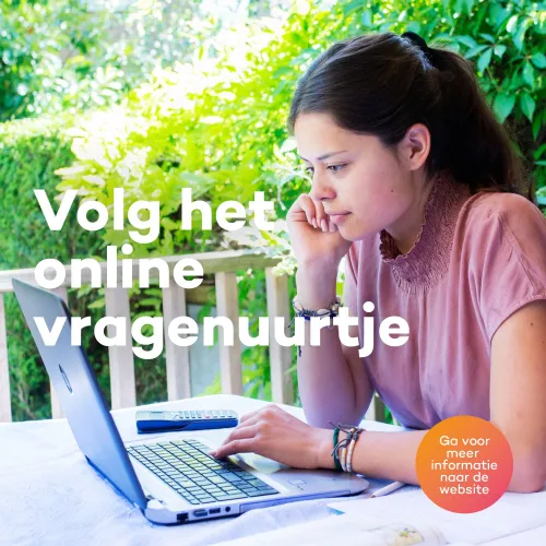 online uurtjes renkum