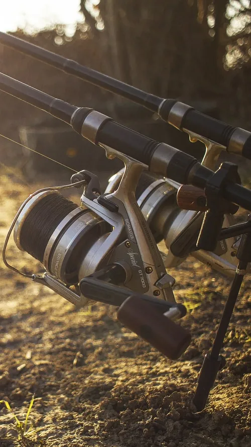 vishengels jampa fishing pixabay