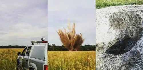 wo2 bom parenco bottem 1024x504