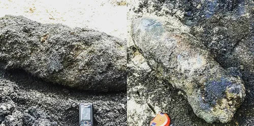 wo2 bom parenco top 1024x509