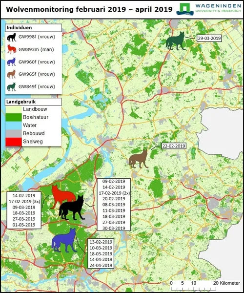 wur environment wolf mei kaartje 2019