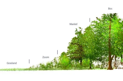 2025 04 bosrand ecopdiabe