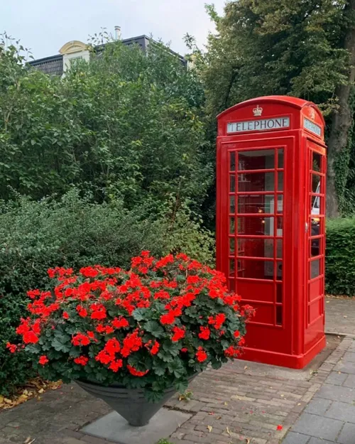 514252848_1279366754218077_2243994707053474752_n