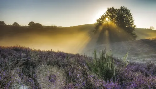 1 peter bijsterveld mooirheden