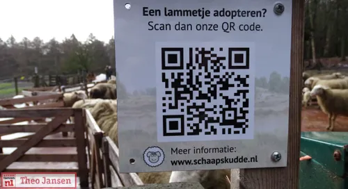 17 02 2021 adoptie 1e lammetje door hans westdijk rhedense schaapskudde 18