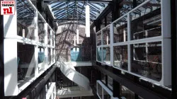 2015 06 15 koninklijke gazelle dieren 000c