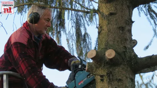 2016 01 08 kerstboom velp 004