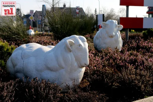 2016 03 17 schaap roze schilderen 002