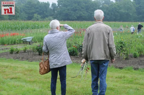 2016 08 06 laag soeren gladiolenfestival 015
