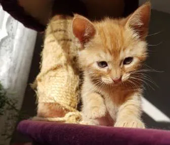 20170615 192542 kopie