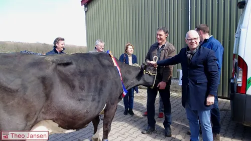 2018 04 03 huldiging koe maatschap nieuwenhuis velp 13