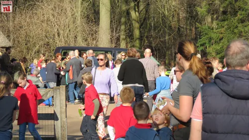 2019 02 27 rachel rosier adoptie rhedense schaapskudde006