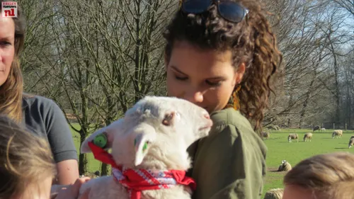 2019 02 27 rachel rosier adoptie rhedense schaapskudde032