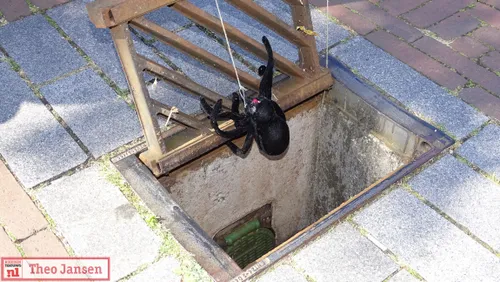 2021 09 04 putvisser in de emmastraat te velp gesignaleerd 6