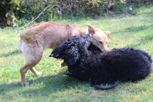 20210416100350 img 2034