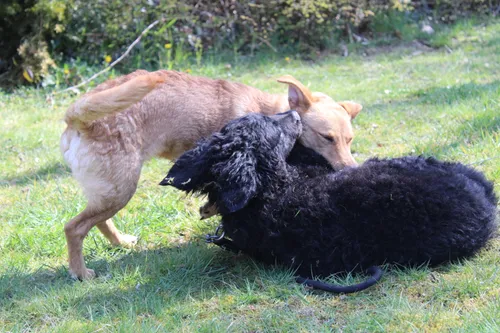 20210416100350 img 2034