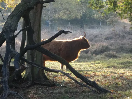 3 eleonoor donders mooirheden