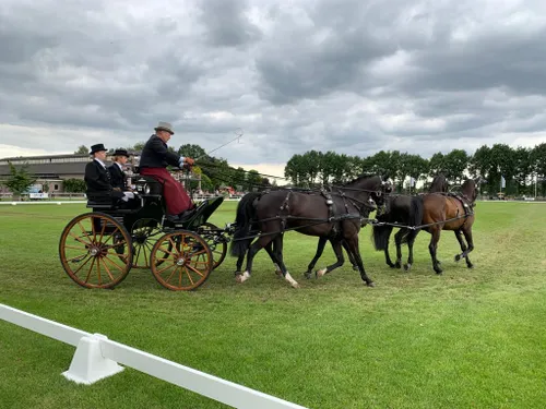 4df587ea a2b6 4b6c bbdf 16fb25410b65 geldersch vierspan team