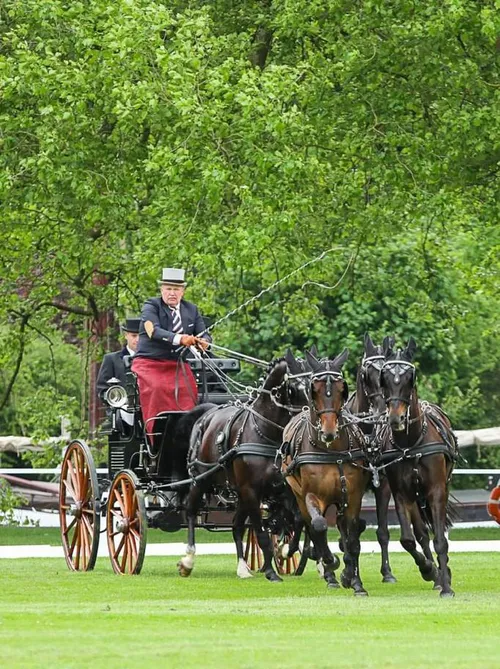 7679f2f5 8c5f 493a bea8 8e5b933d331b geldersch vierspan team