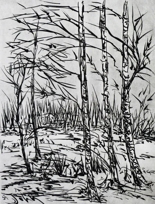 a4 berken aan zee 21 x 275 cm