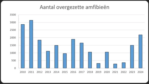 aantal overgezette amfibieen anton logemann