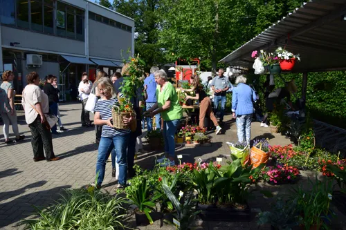 aeres planten in de verkoop op de markt van festival goed groen