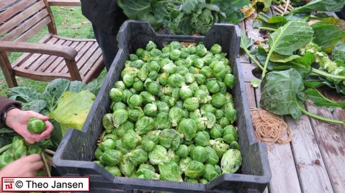 arnhemsestraatweg 7 11 15 014