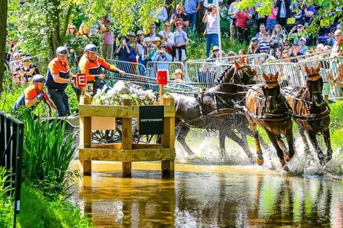 b9ede2ef 9562 4621 b338 8792fb39cf0a geldersch vierspan team