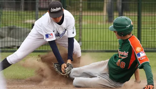 baseball academy dieren