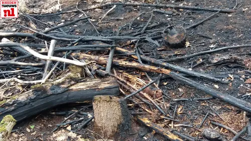 bermbrand kluizenaarsweg velp 1