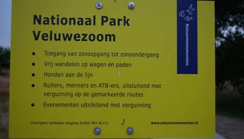 bloeiende heide jamie lebbink