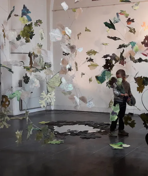 blooms betty disco miriam van der linden