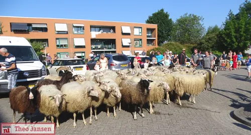 bonte schaap festival 2023 4