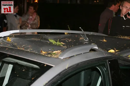 boom over de weg boulevard 030