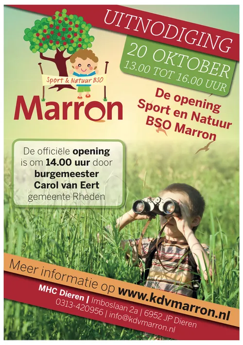 bso marron