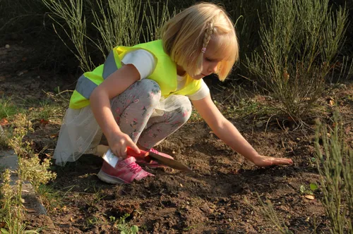 buitenlesdag 2020 rozendaal 4