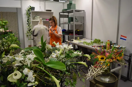 carmen euroskills shop