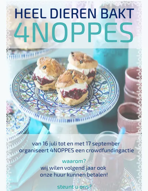 crowdfunding voorkant