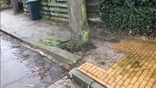 dorpsschouw rhedens dorpsbelang 2023 trotoir