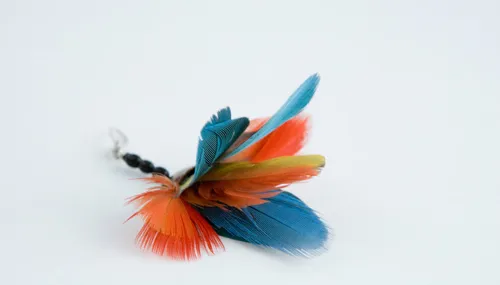 douane belastingdienst papegaaiveren