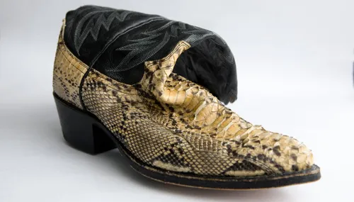 douane belastingdienst schoen