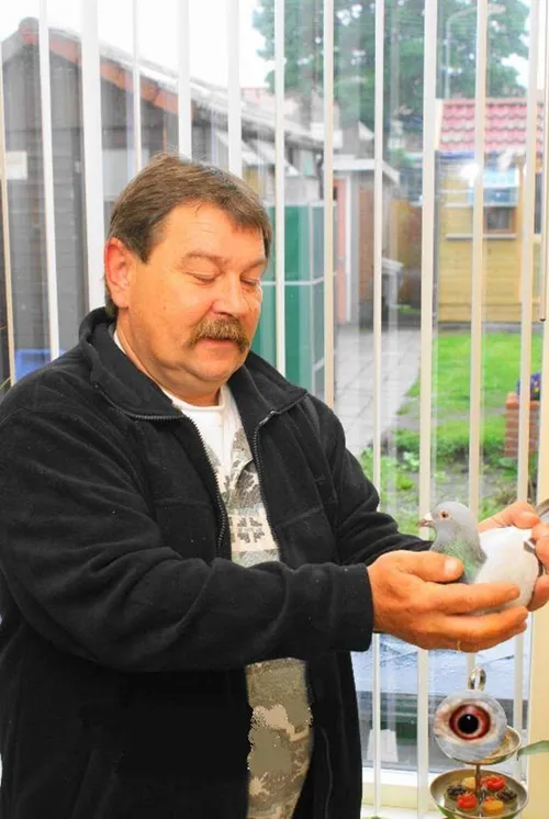 e jordens postduivenvereniging velp zuid