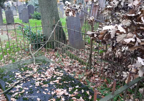 familie hartman en bosveld