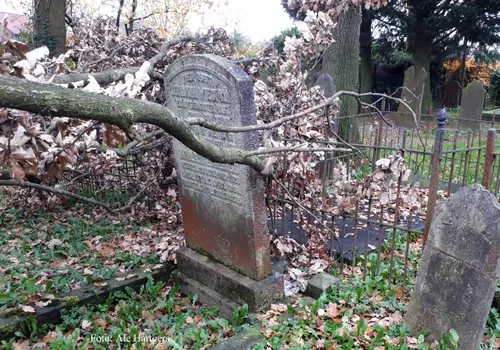 familie zonnenberg en wiegman