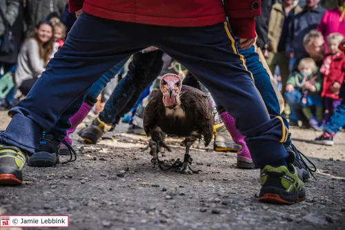 faunadag middachten 2018 03 24 1