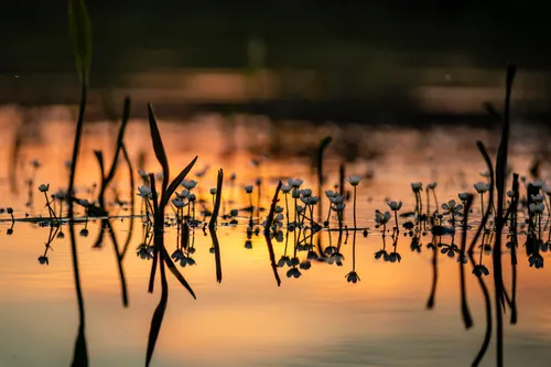 fotocursus sprengenhus laag soeren